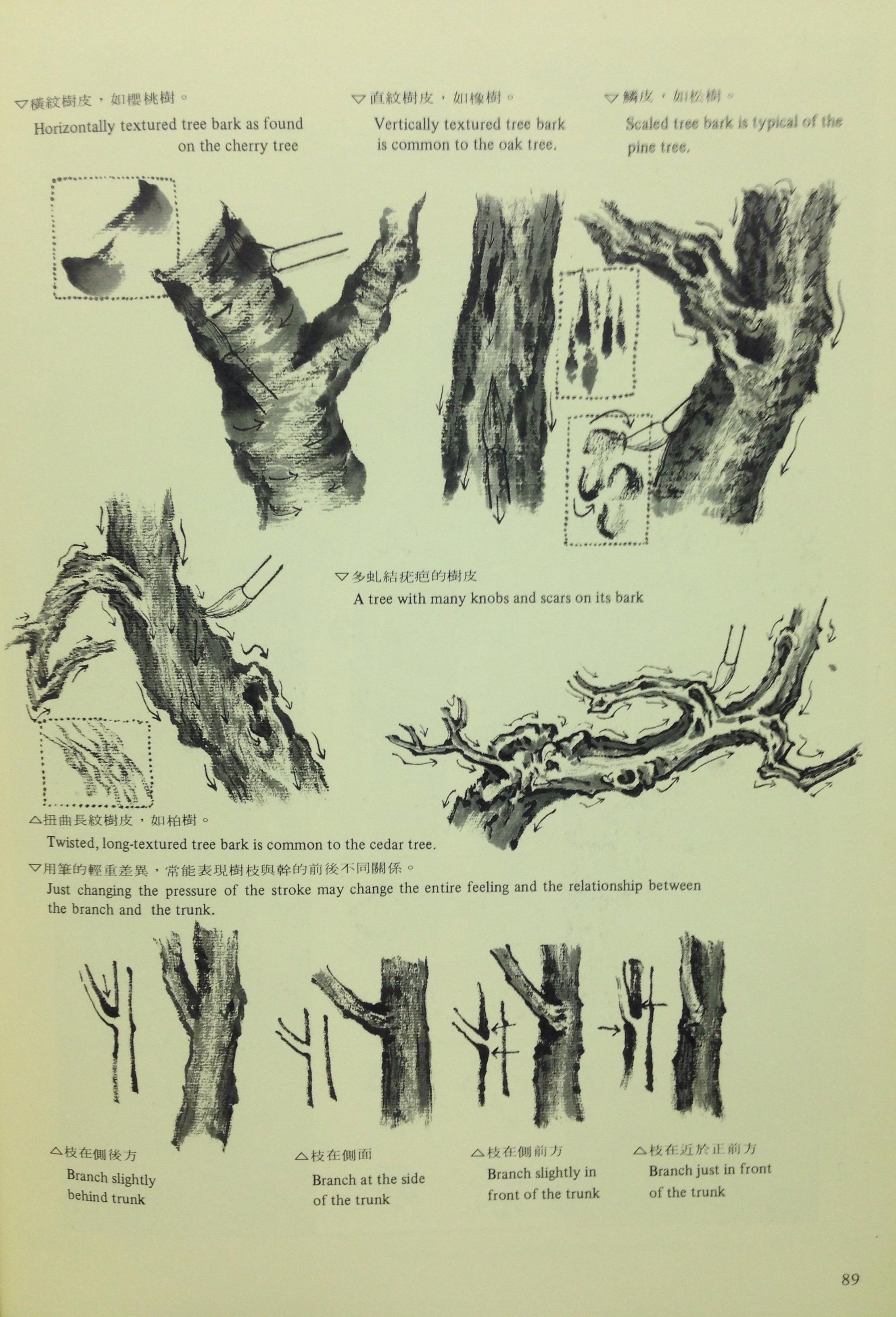 刘墉画论讲坛——「树根与树皮」